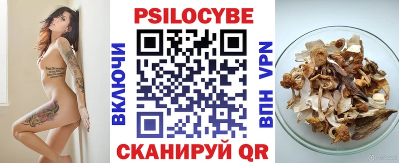Псилоцибиновые грибы прущие грибы  цена   мега онион  Юрьевец 
